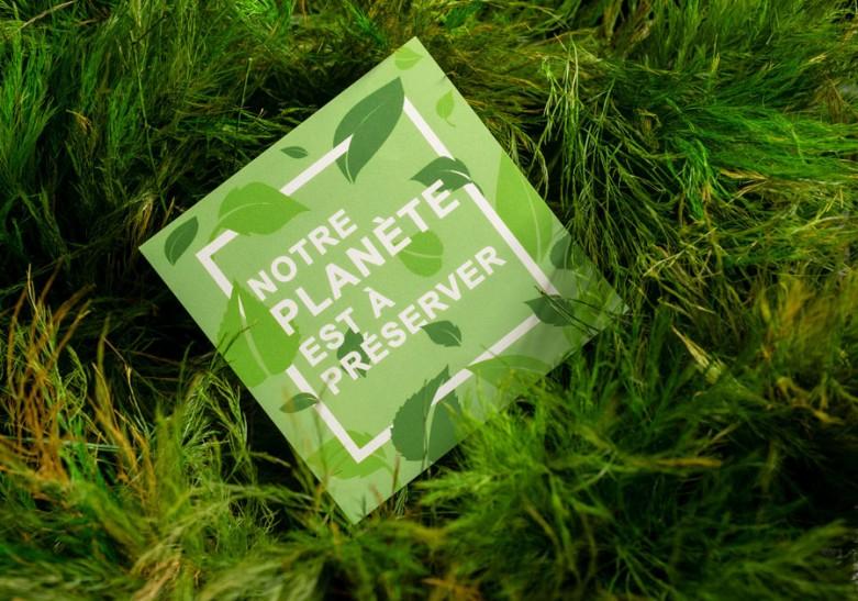 Des supports publicitaires écologiques pour vos futurs projets de communication